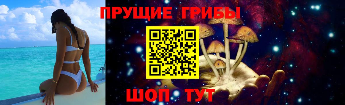 Чехов  Псилоцибиновые грибы MAGIC MUSHROOMS  продажа наркотиков  Вход с VPN 